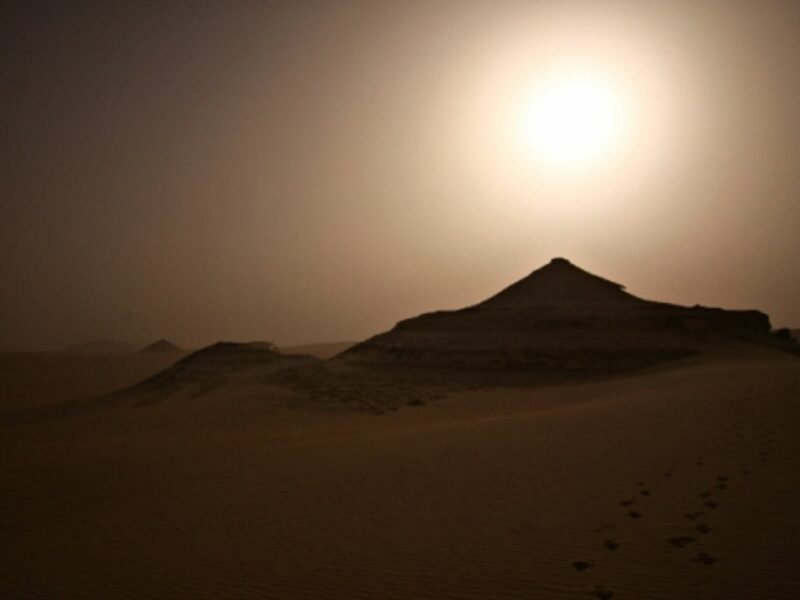 In Egypt's Western Desert