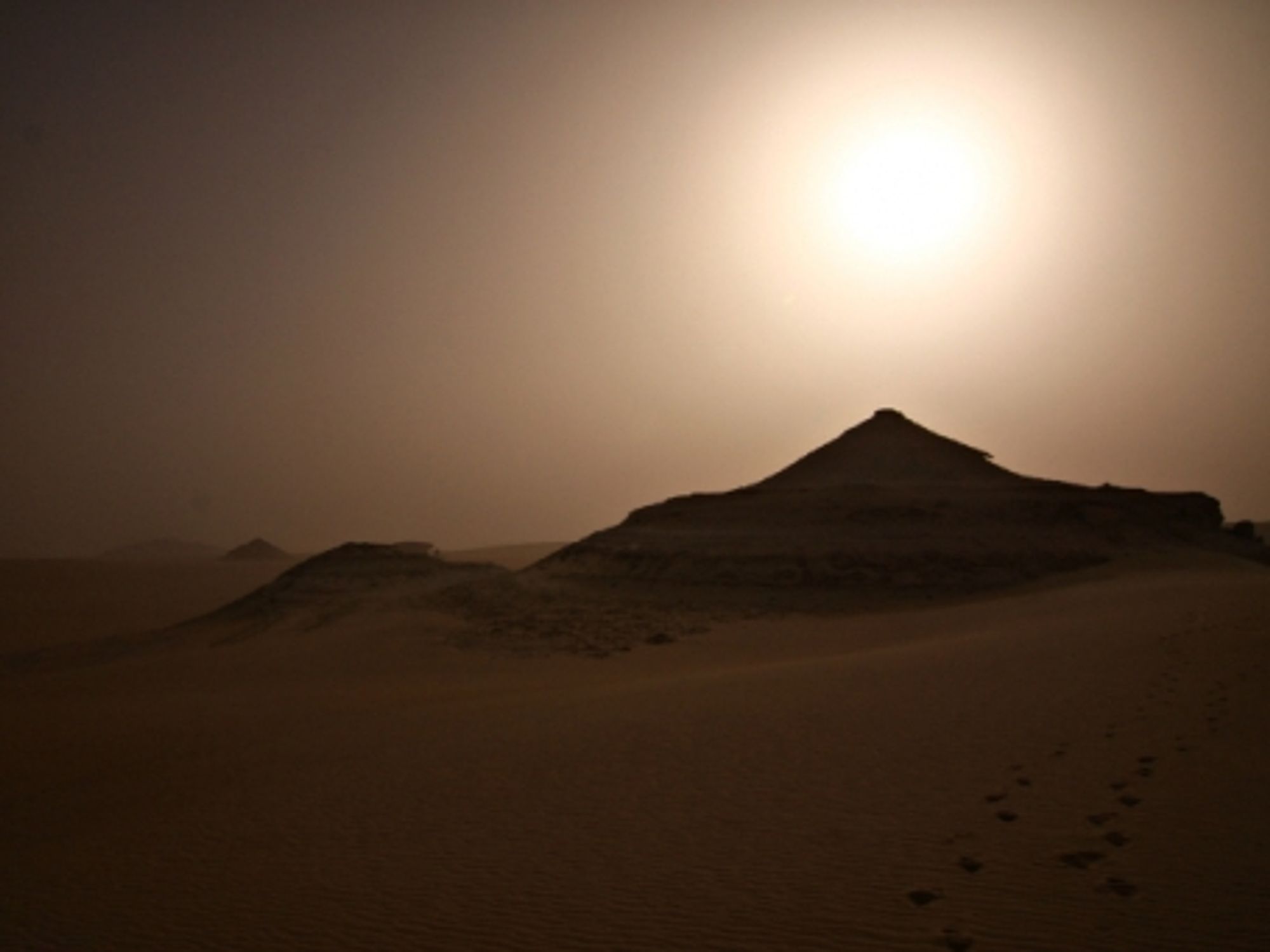 In Egypt's Western Desert