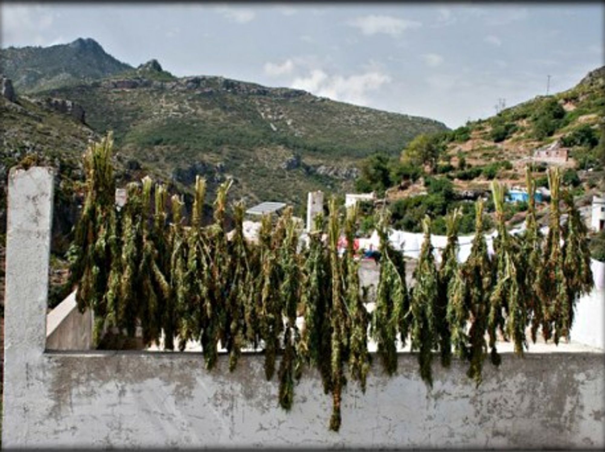 In Jabal al-Zawiya, near Idlib