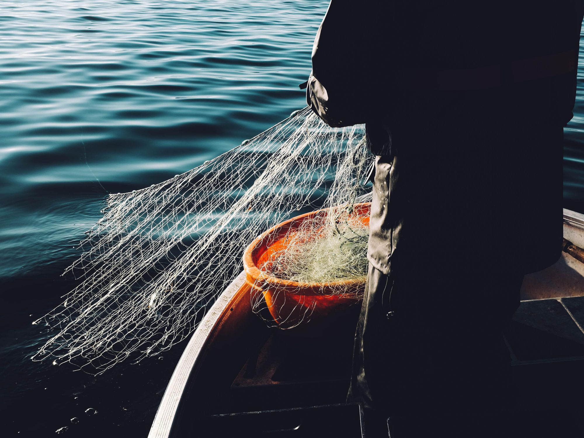 Norwegian Salmon v. Danish Trout: Lessons On Ecology And Economics