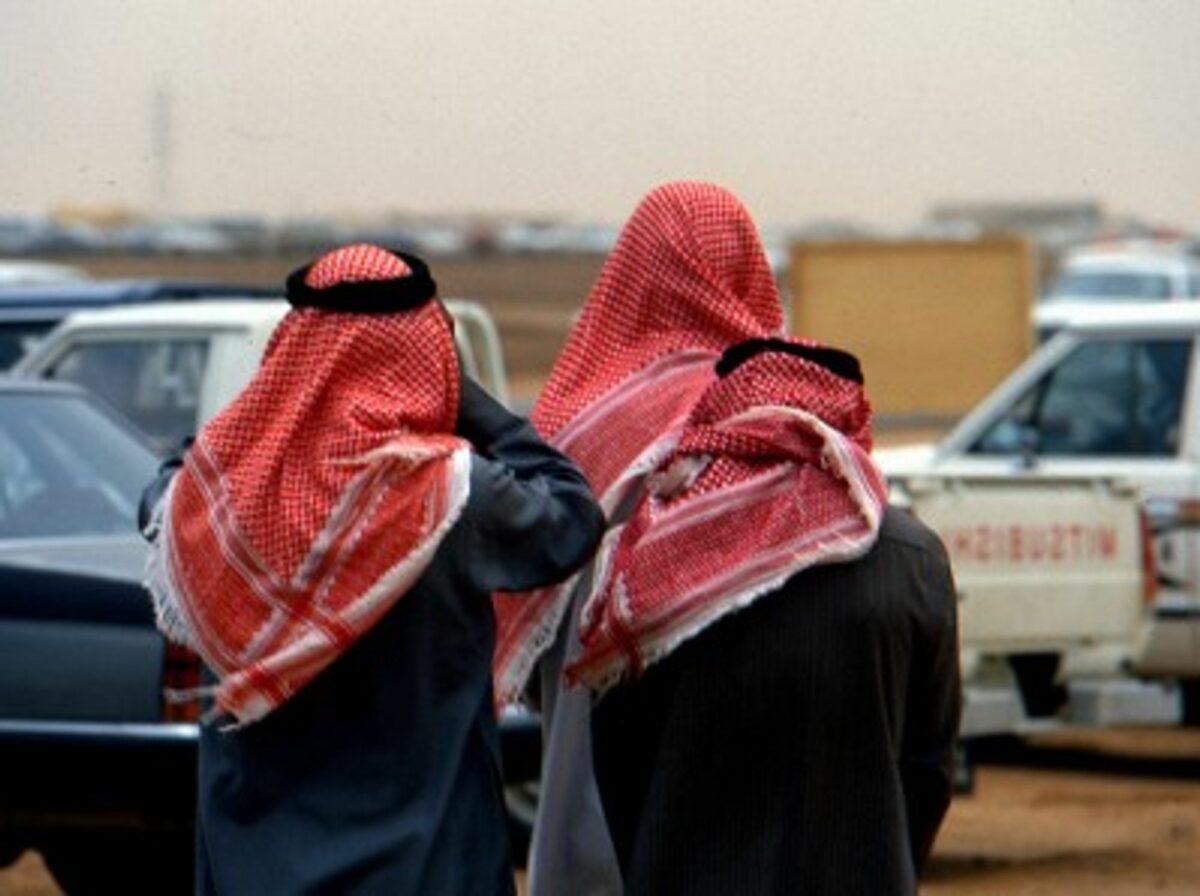 In Saudi Arabia, a discrete metamorphosis