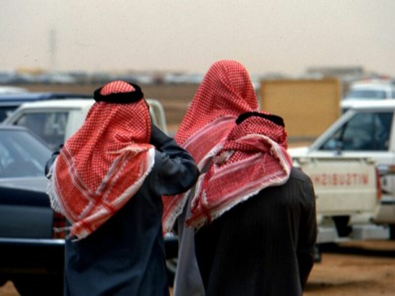 In Saudi Arabia, a discrete metamorphosis