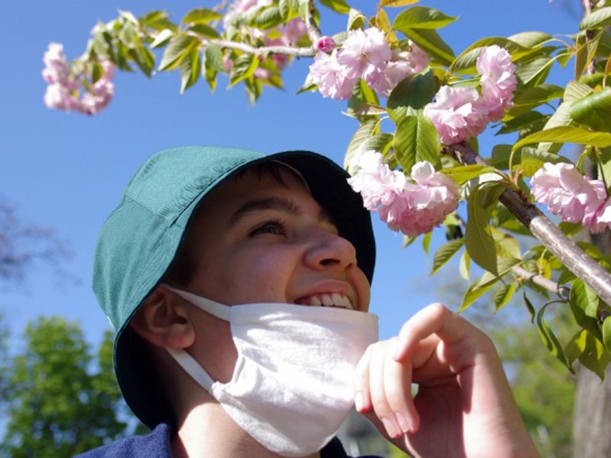 In some cases, anosmia can last for several months