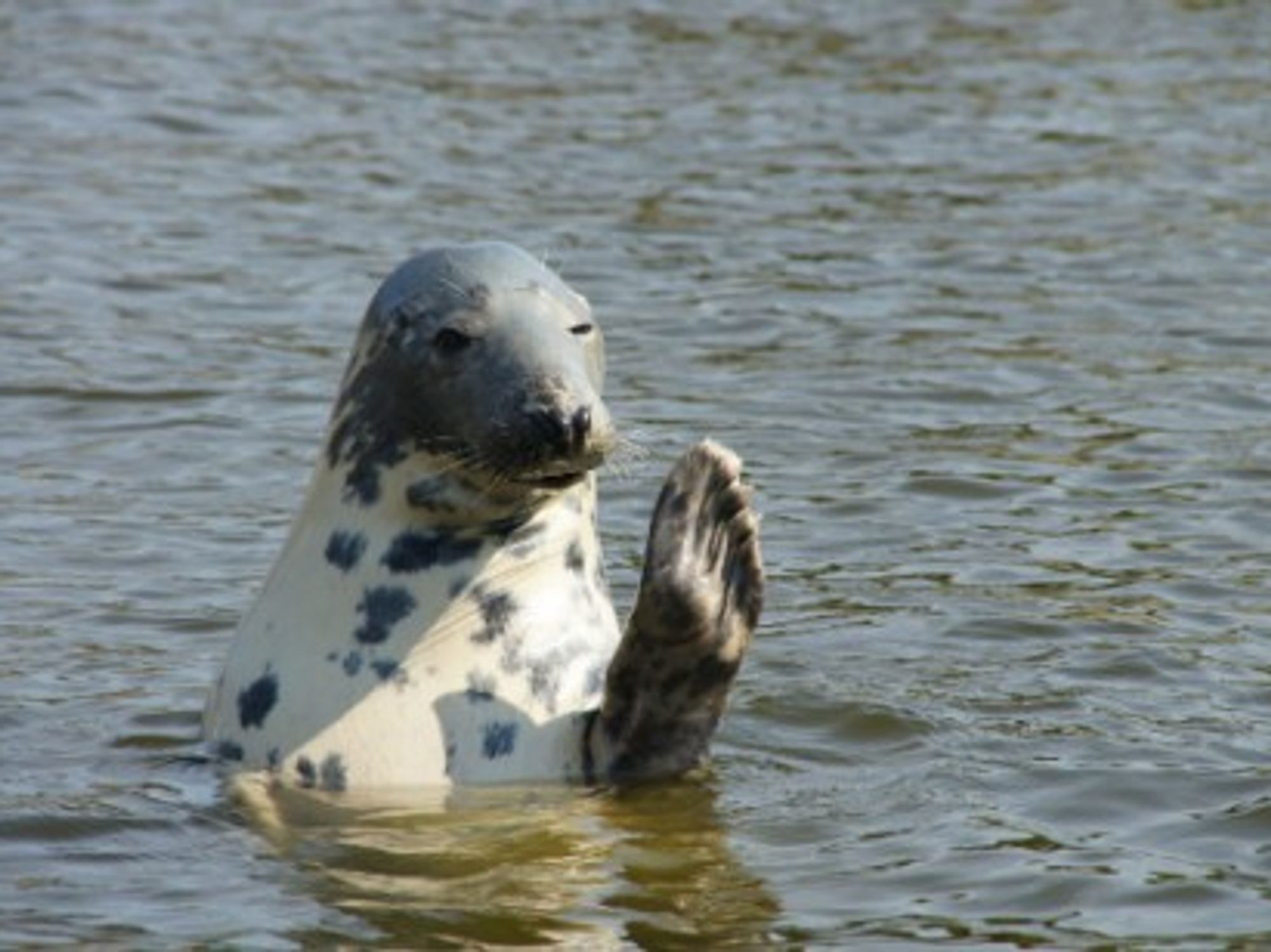 In the Baltic Sea