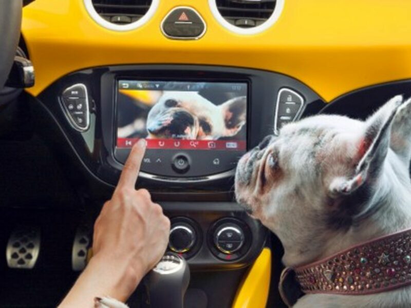 Infotainment in the car: a dog's dinner? (Opel)