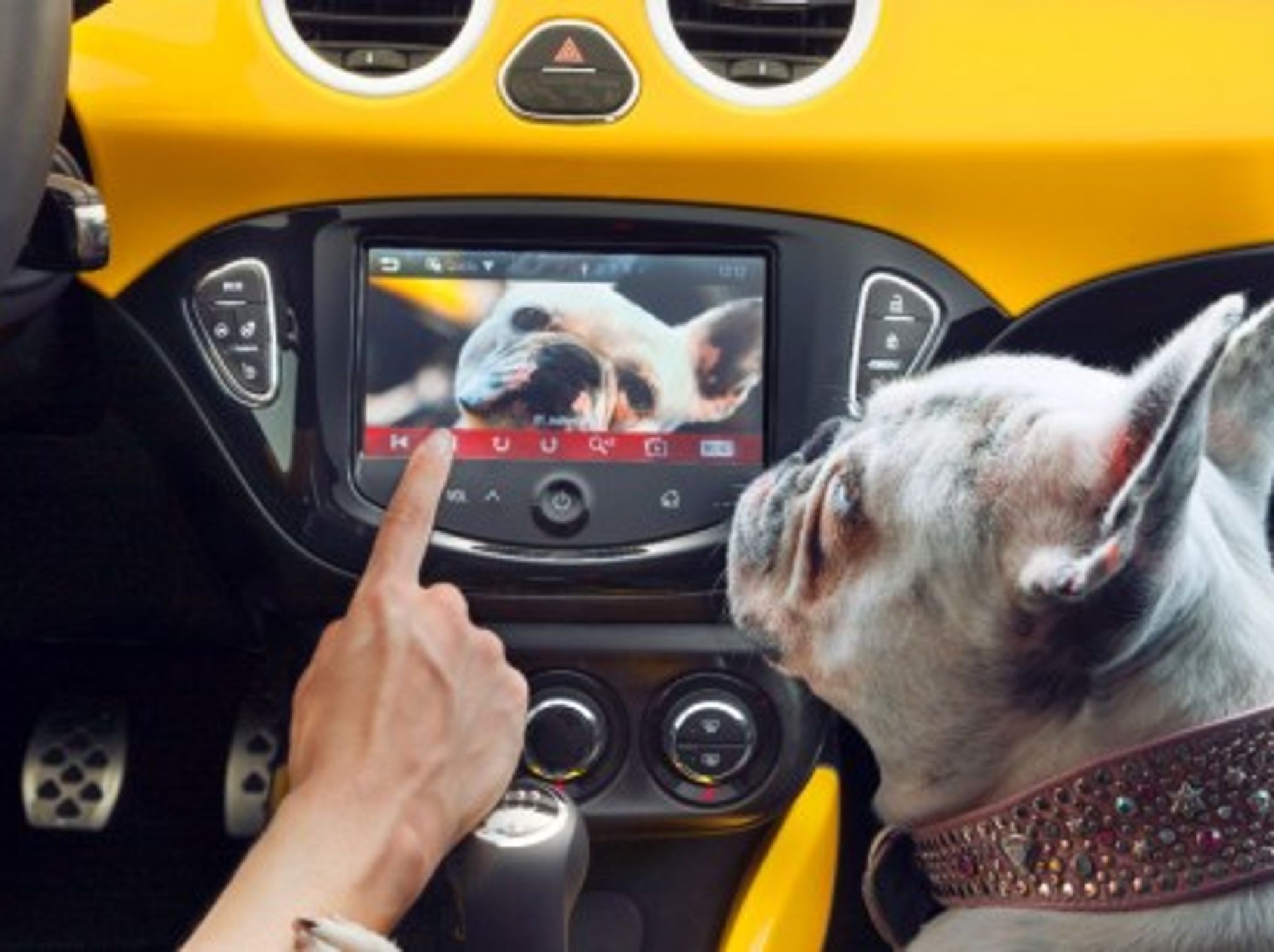 Infotainment in the car: a dog's dinner? (Opel)