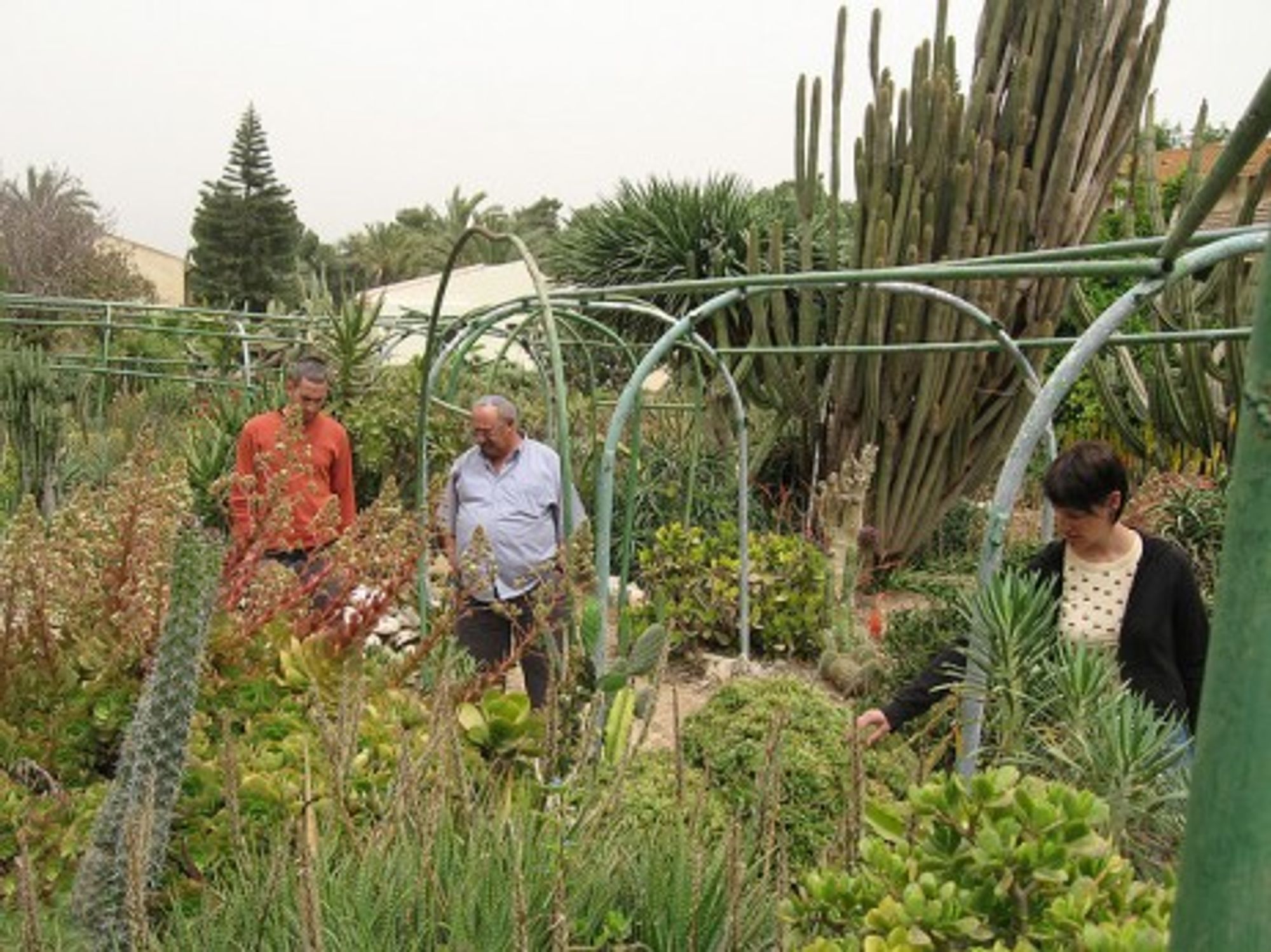 Israelis' character is the fruit of a rugged life in a kibbutz