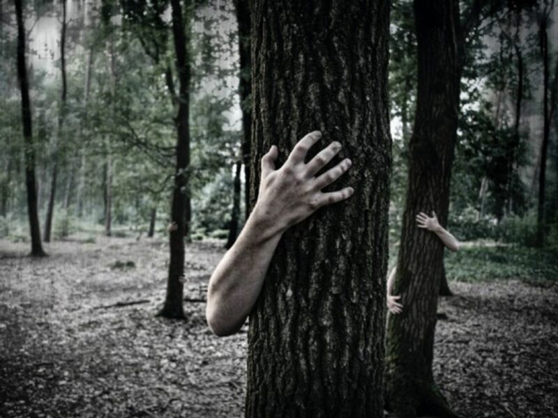 It is estimated that indigenous populations protect roughly 3,000 million hectares of land.