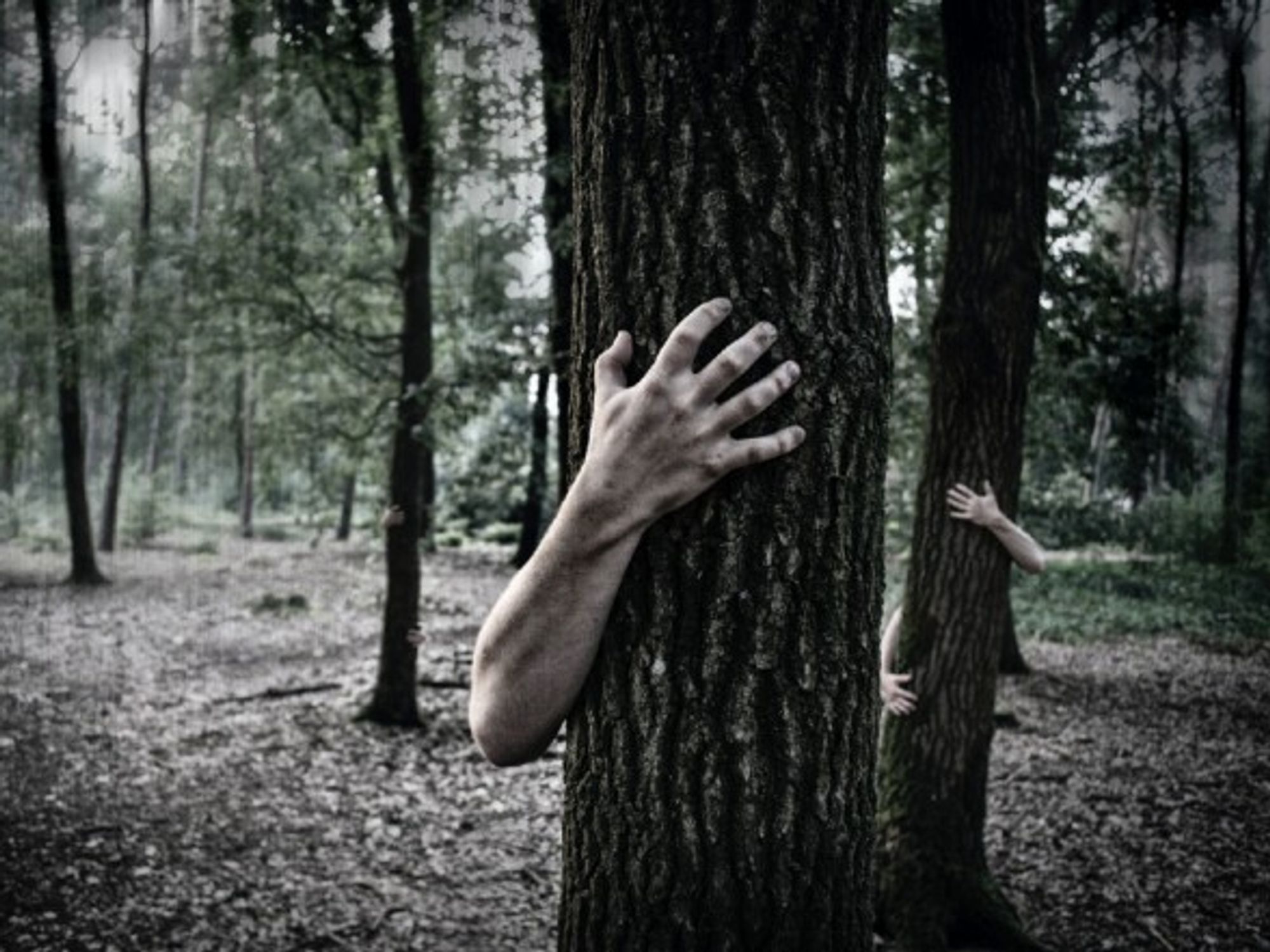 It is estimated that indigenous populations protect roughly 3,000 million hectares of land.