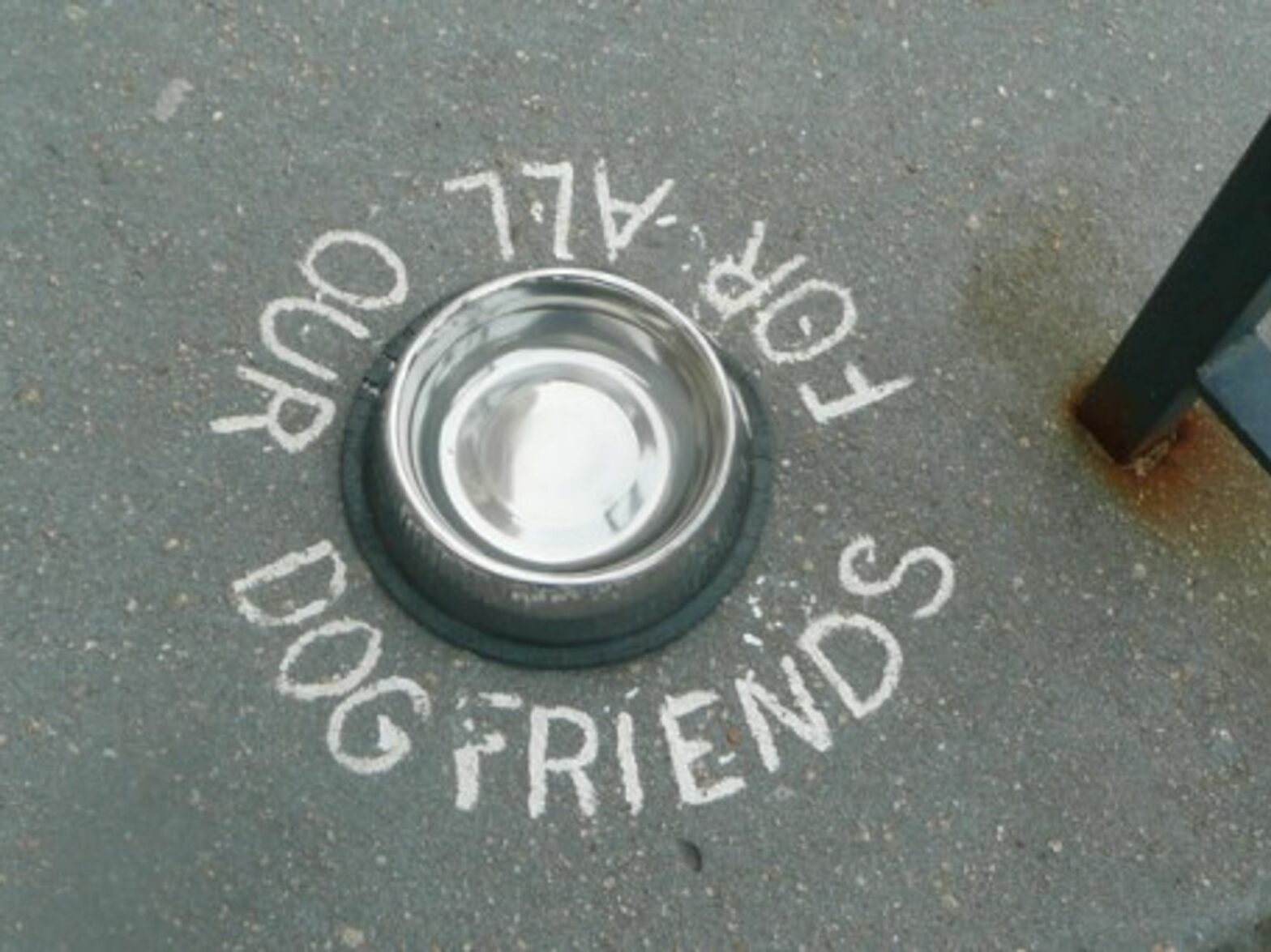 Italian Bar Fined For Taking Care Of Thirsty Dogs