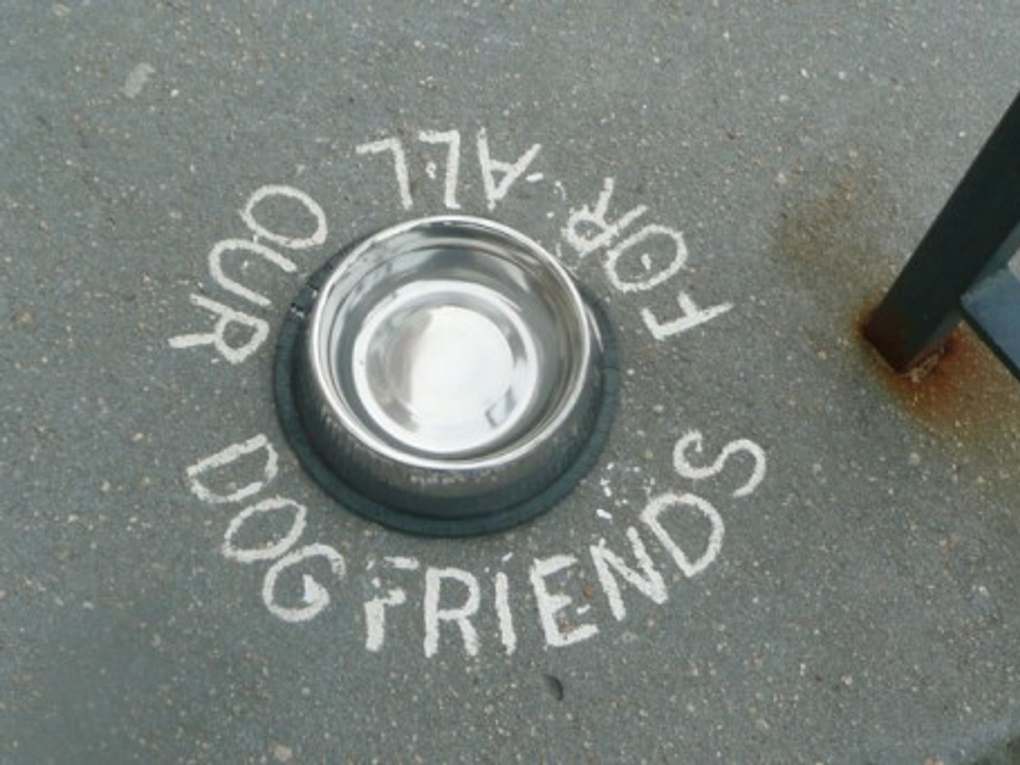 Italian Bar Fined For Taking Care Of Thirsty Dogs
