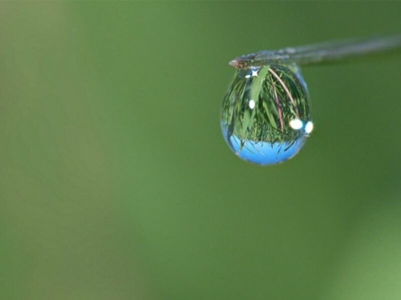It's a green, green world after all