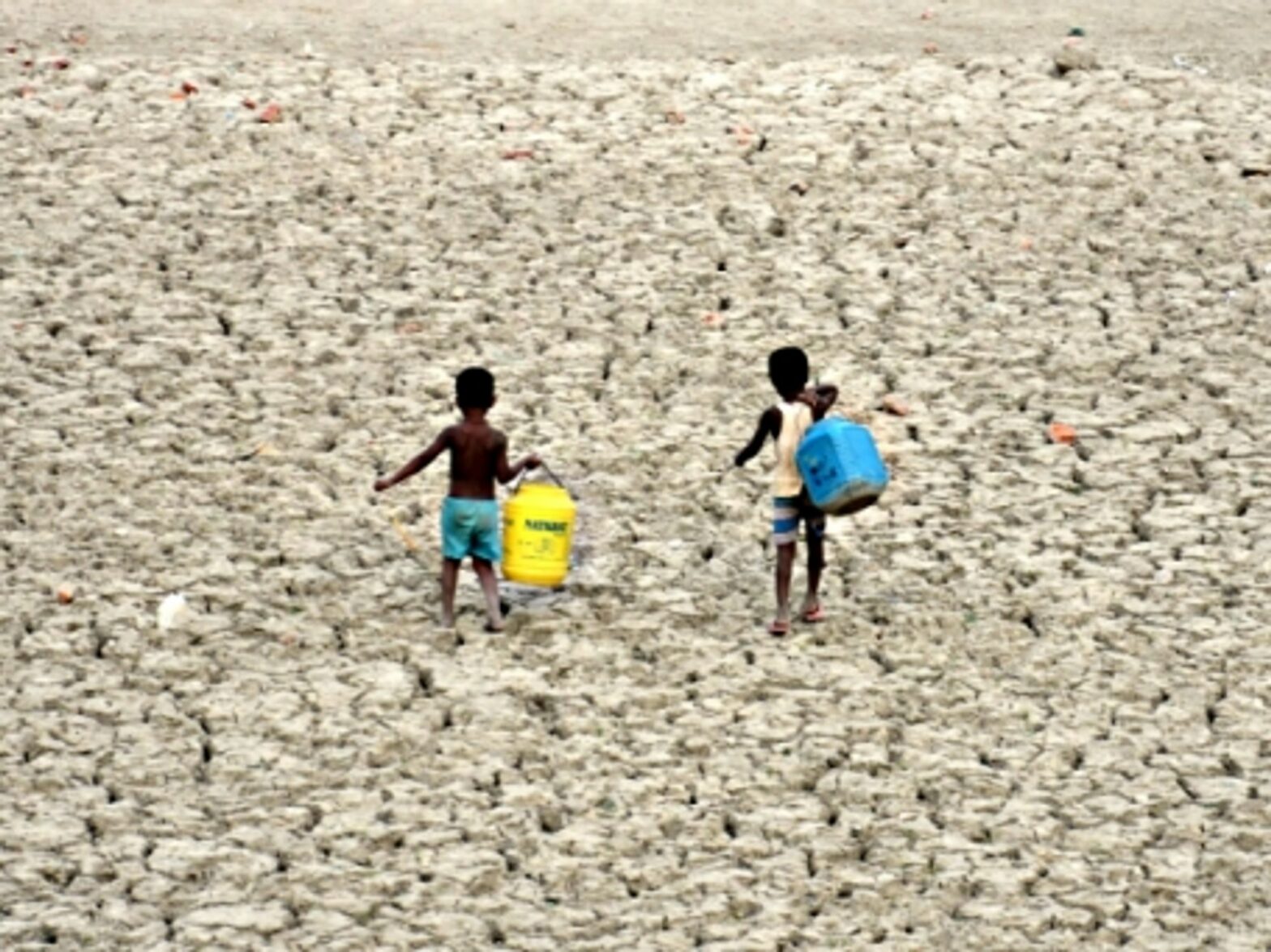 It's Trump, Water Scarcity, Yogurt Dreams