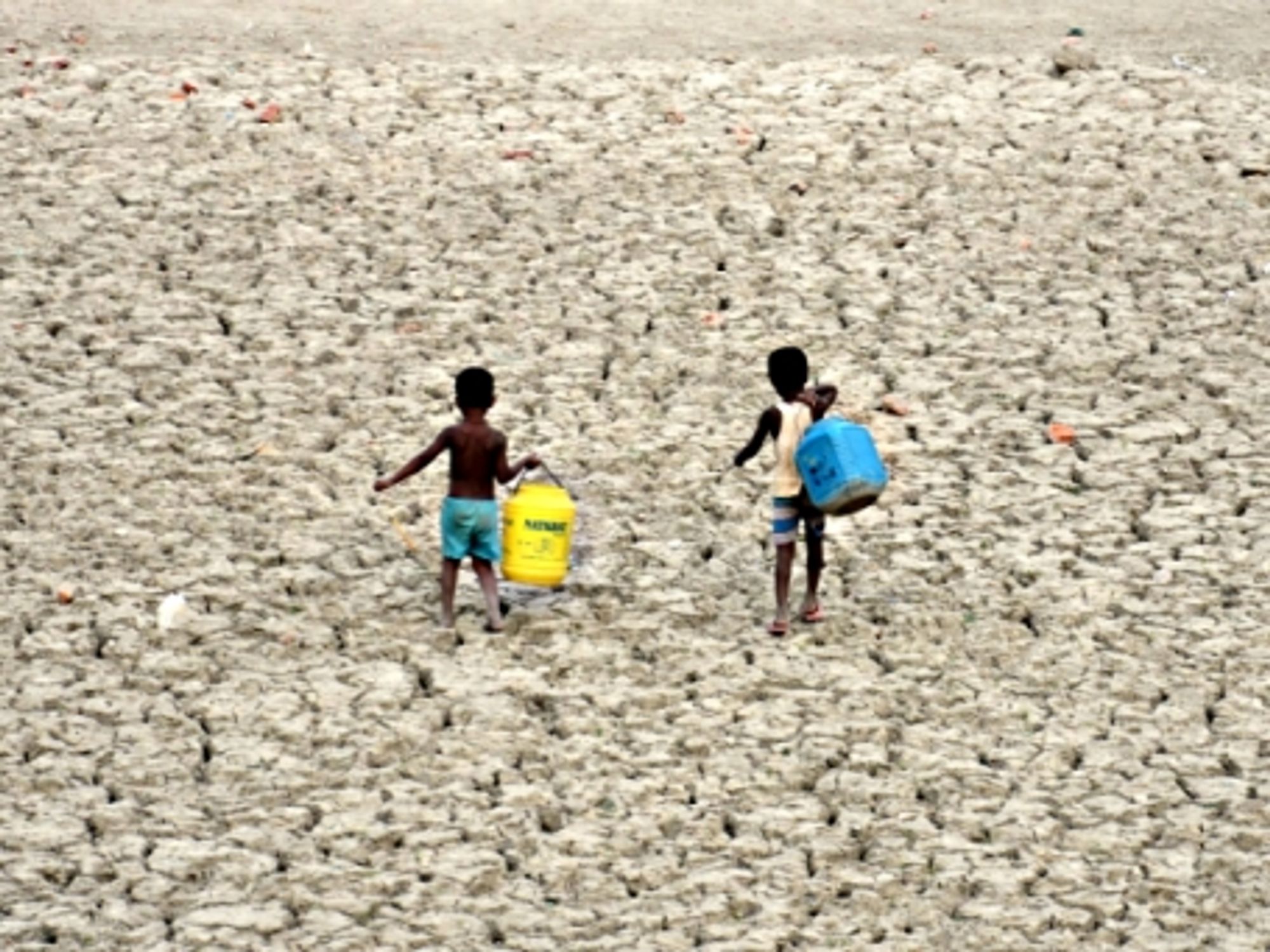 It's Trump, Water Scarcity, Yogurt Dreams