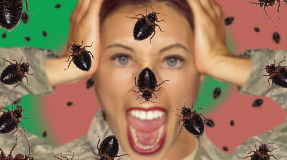 It's Us Not Them: A French Philosopher Takes On The Paris Bed Bug Hysteria