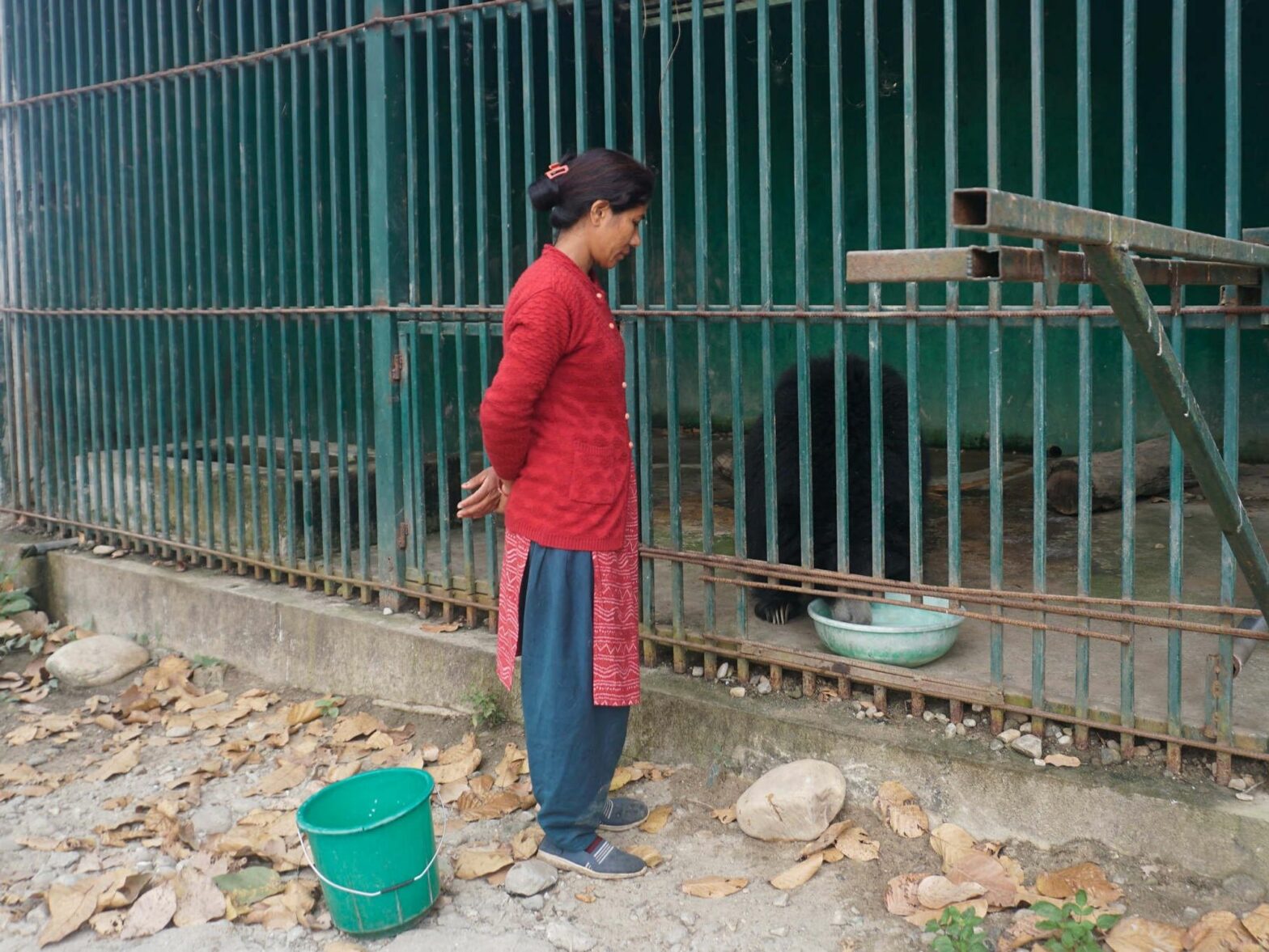 Nepal's “Community Forest” Paradox, When Protecting Wildlife Leads To Captivity
