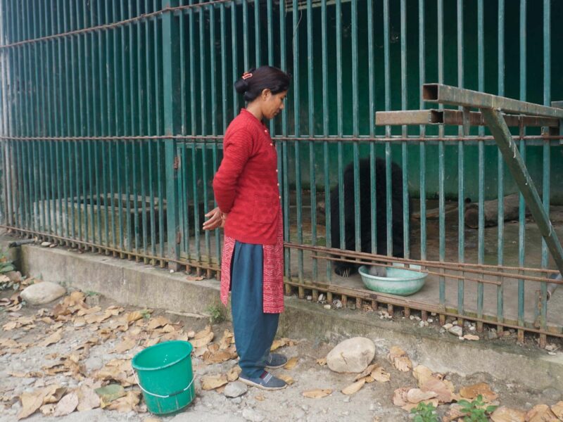 Nepal's “Community Forest” Paradox, When Protecting Wildlife Leads To Captivity
