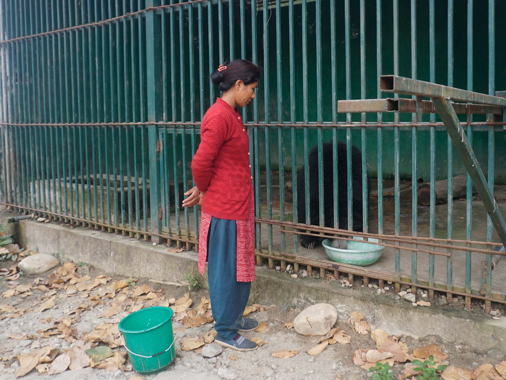 Nepal's “Community Forest” Paradox, When Protecting Wildlife Leads To Captivity