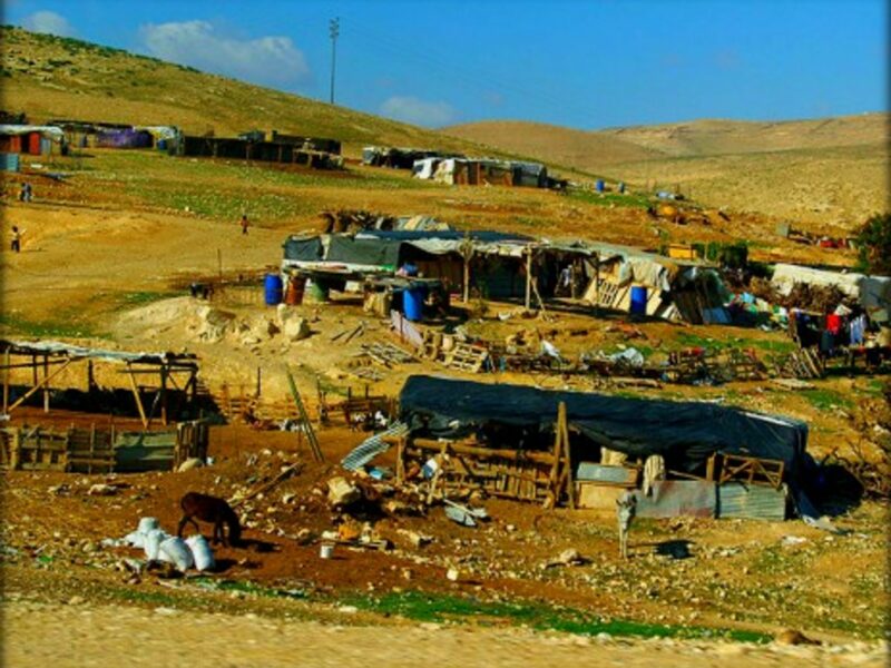 Judean Bedouins