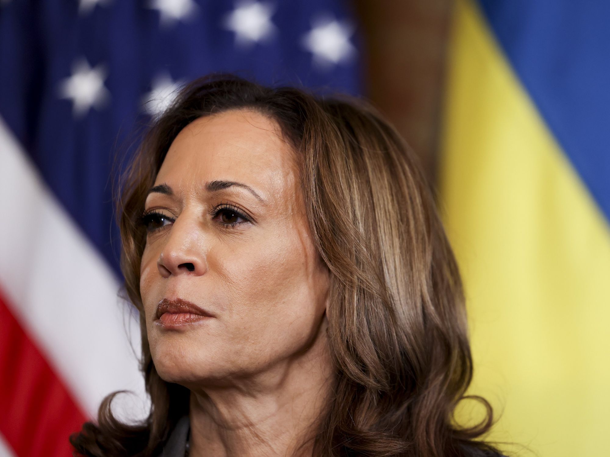 Kamala Harris close up photo, with USA and Ukraine flag in the background.