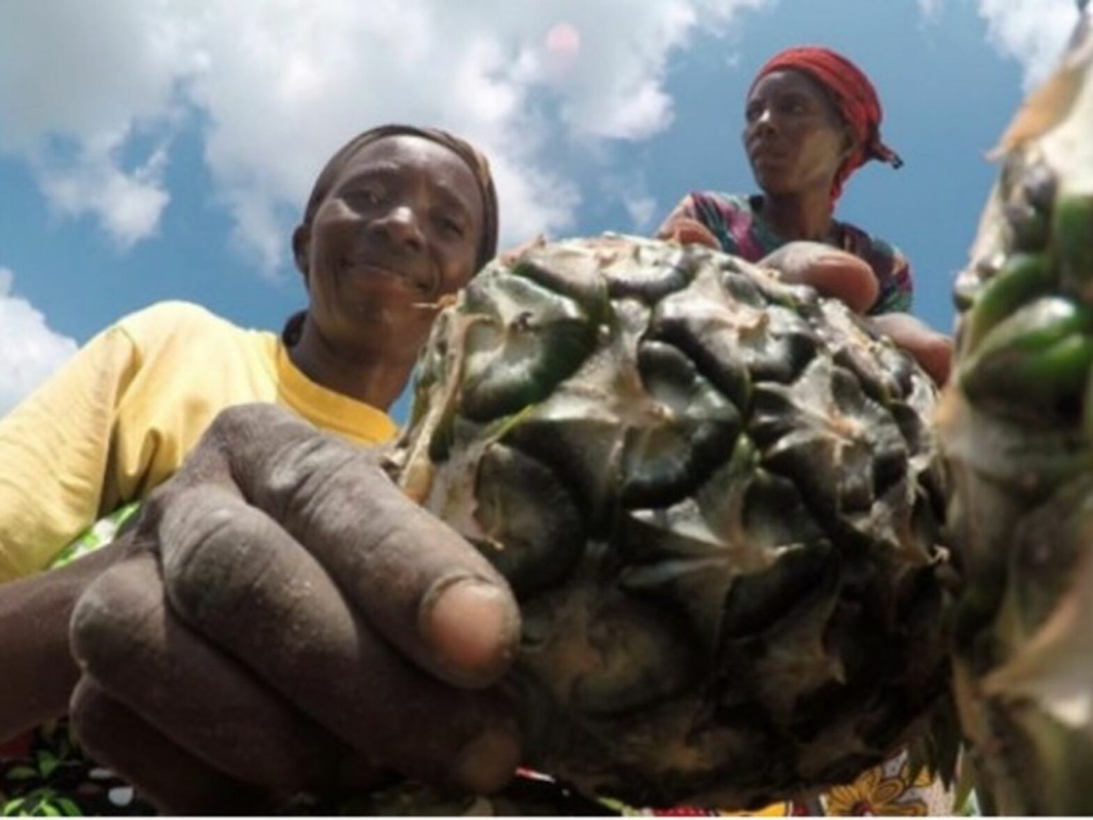 Kenyan women turned to pineapples to save their village