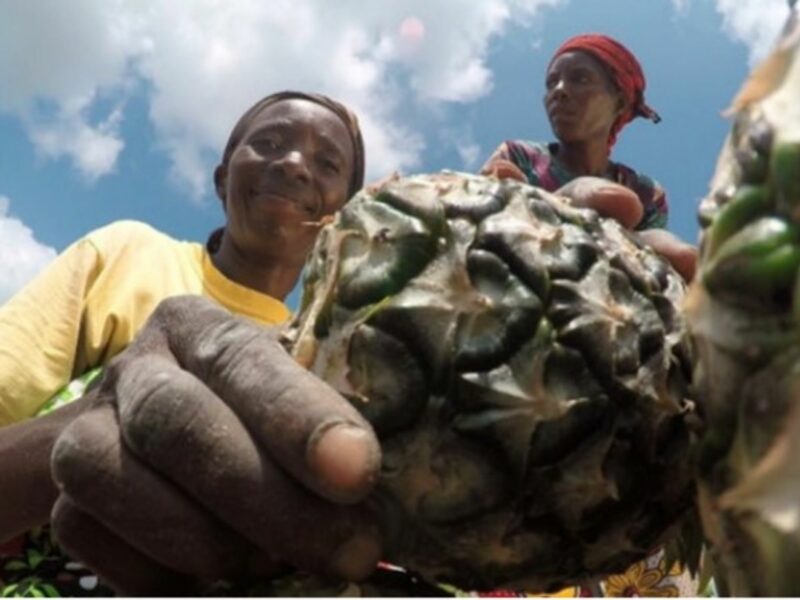Kenyan women turned to pineapples to save their village
