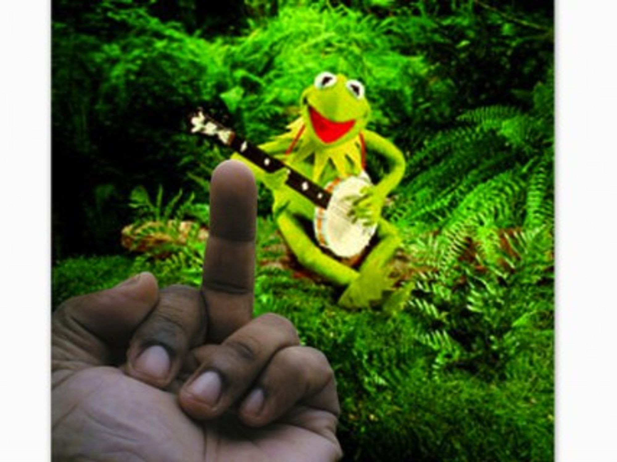 Kermit said it best: it ain't easy being green (Gord Fynes)