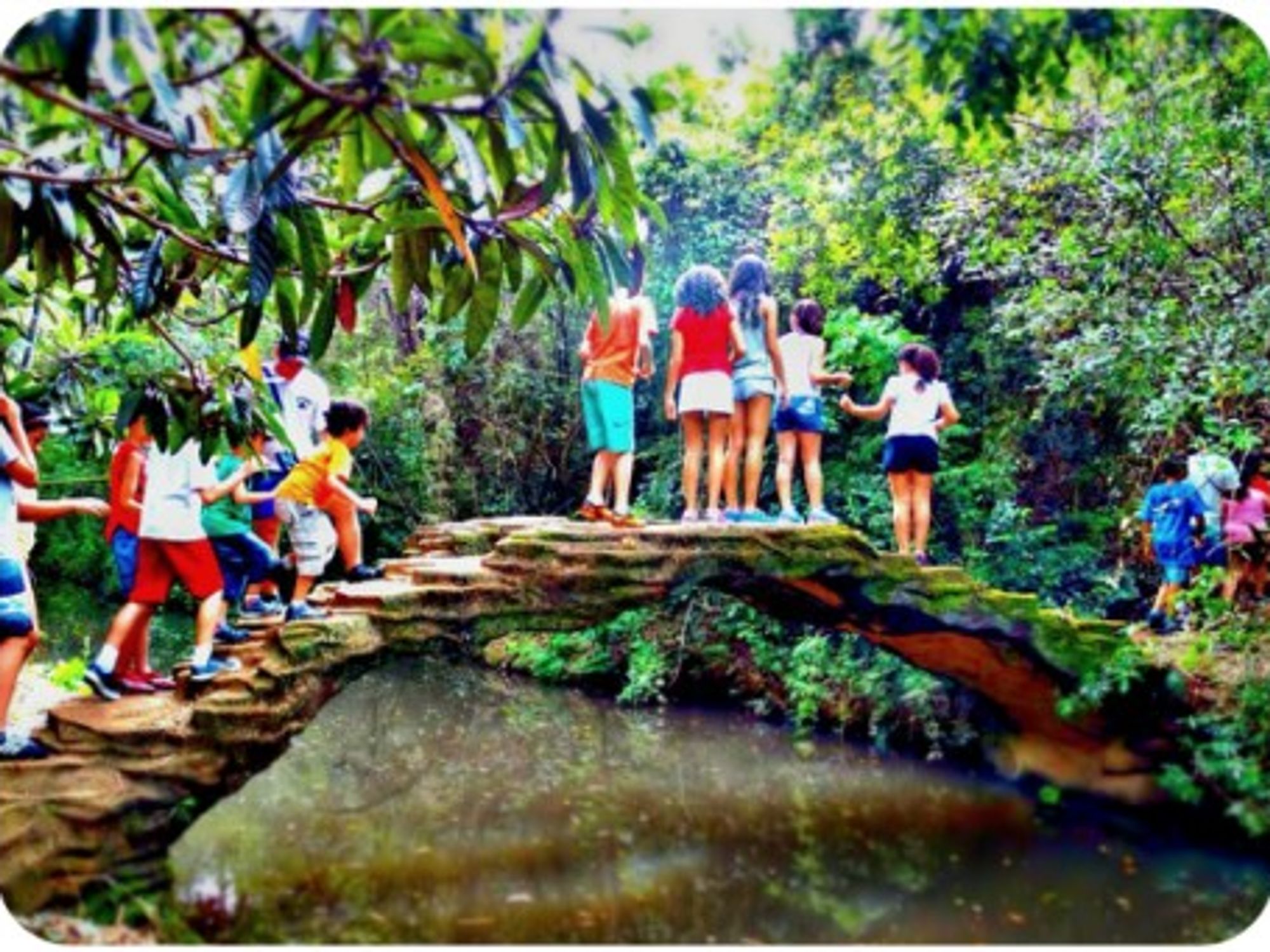 Kids at a digital detox camp near Sao Paulo