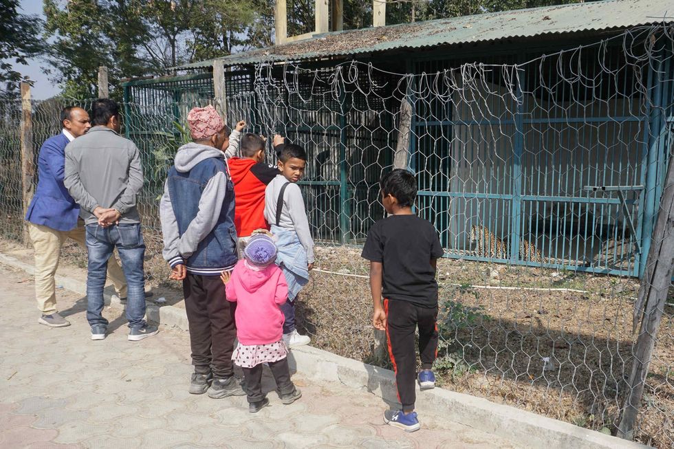 Kids, teachers and parents view a leopard on display at Jamunkhadi Community Forest.