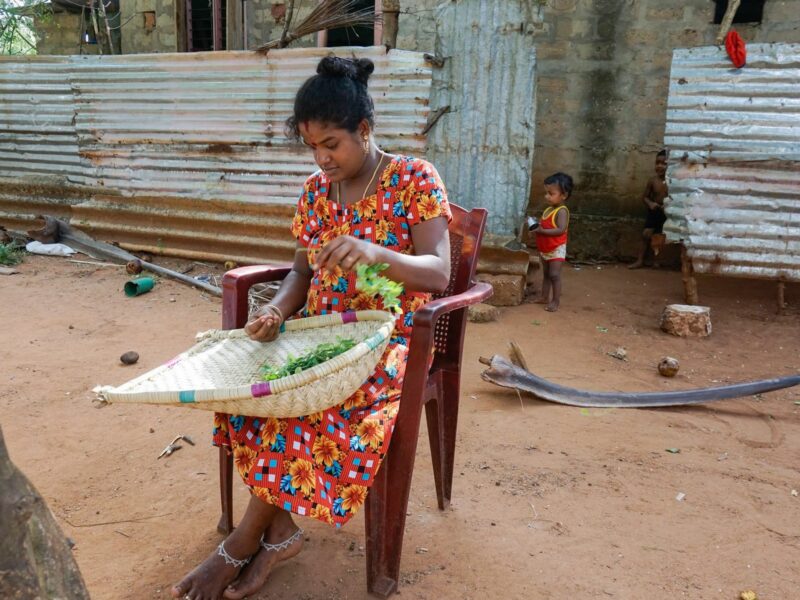 The First Victims Of Sri Lanka's Economic Crisis: Pregnant Women