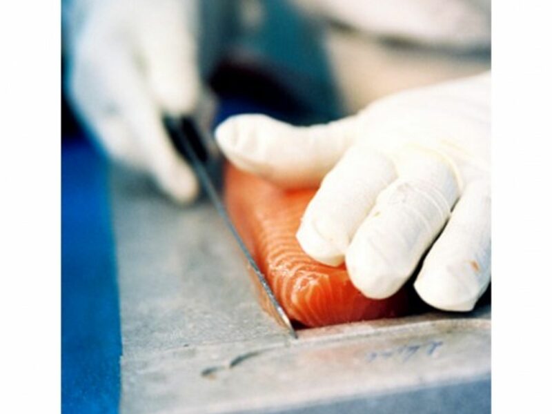 Knife expert slice the salmon at Balik farm (maiak.info)