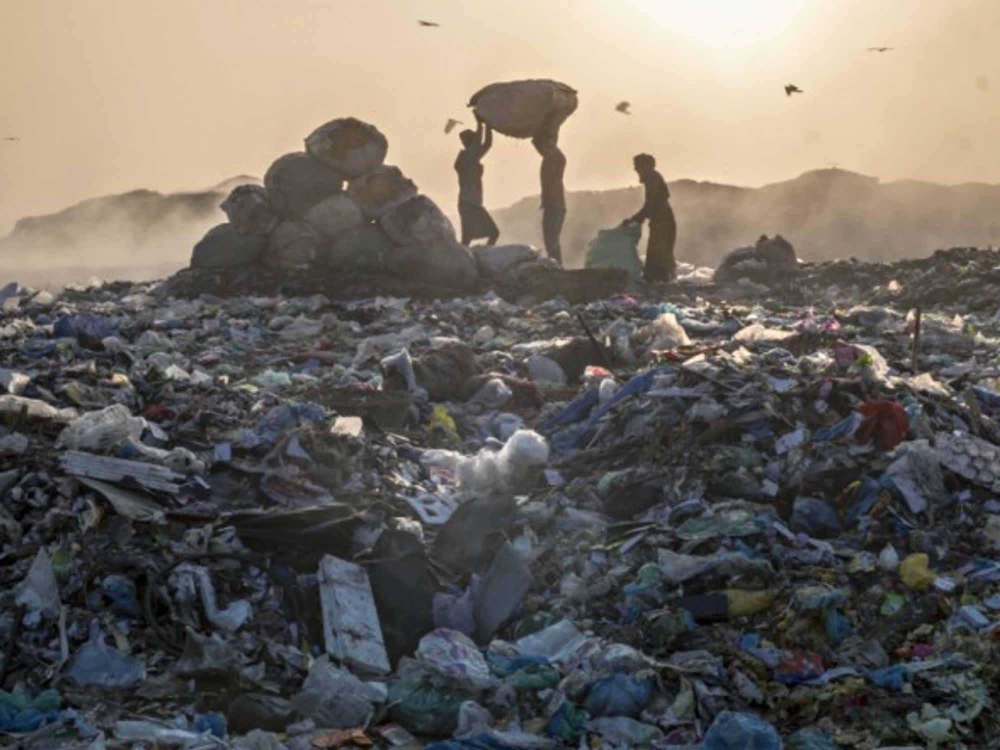 Landfill in Sylhet, Bangladesh