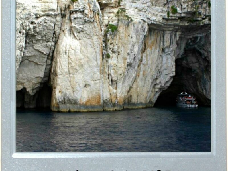 Latest Cruise