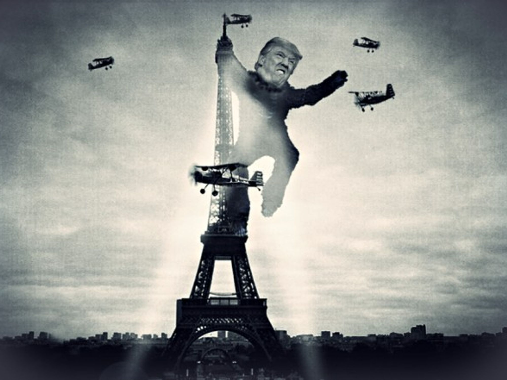 Le roi des Kong