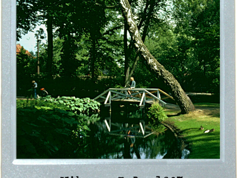 Leaning Tree Of Denmark