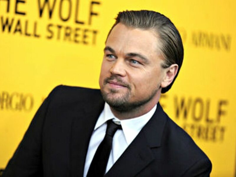 Leonardo DiCaprio attending the 'Wolf Of Wall Street' premiere in NYC in 2013.