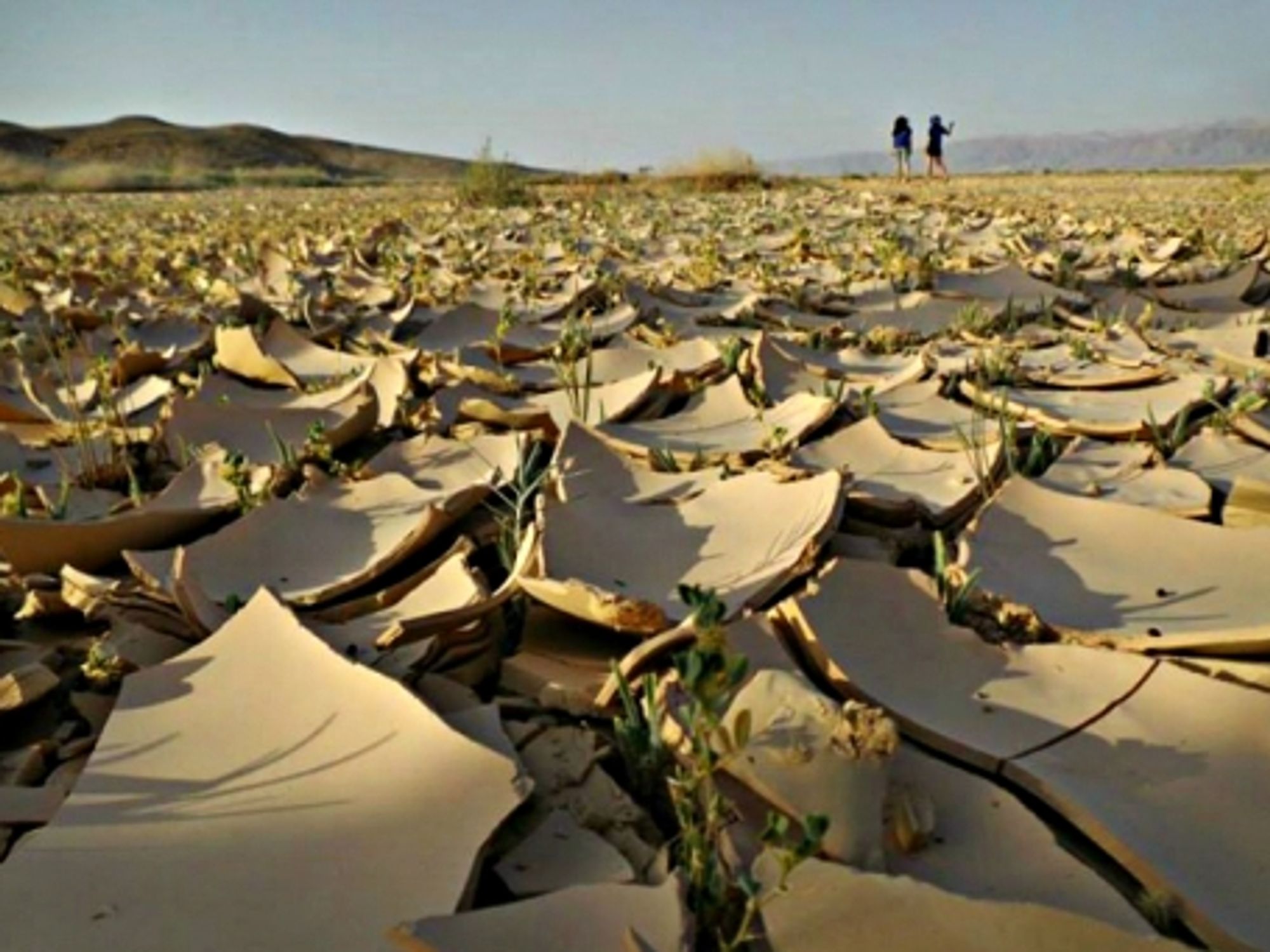 Life in Israel's Negev desert