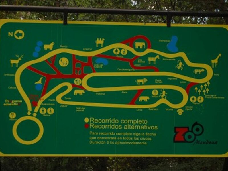 Lion Dies In Argentine 'Torture Zoo'