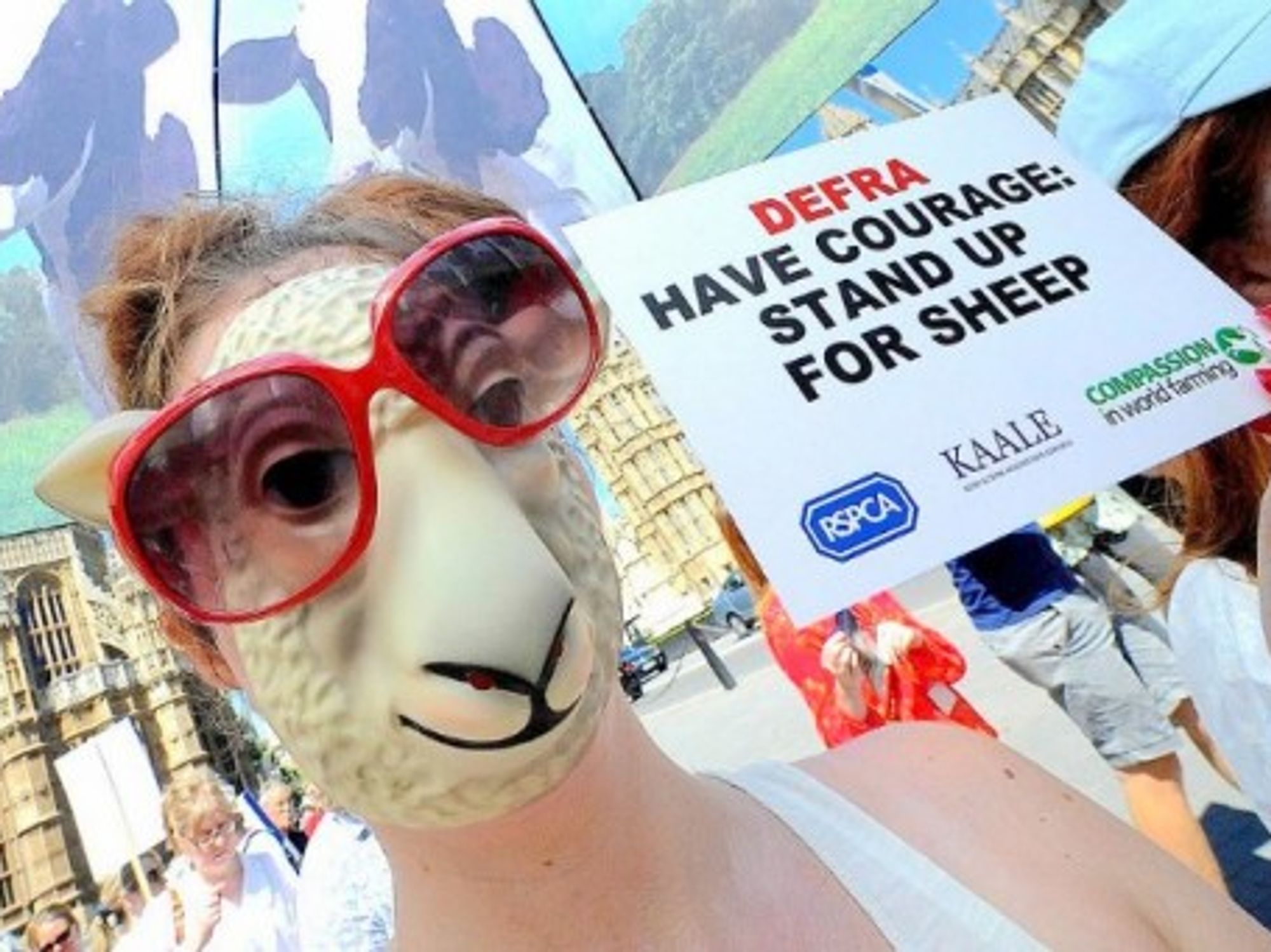 London protest against live exports out of the UK.