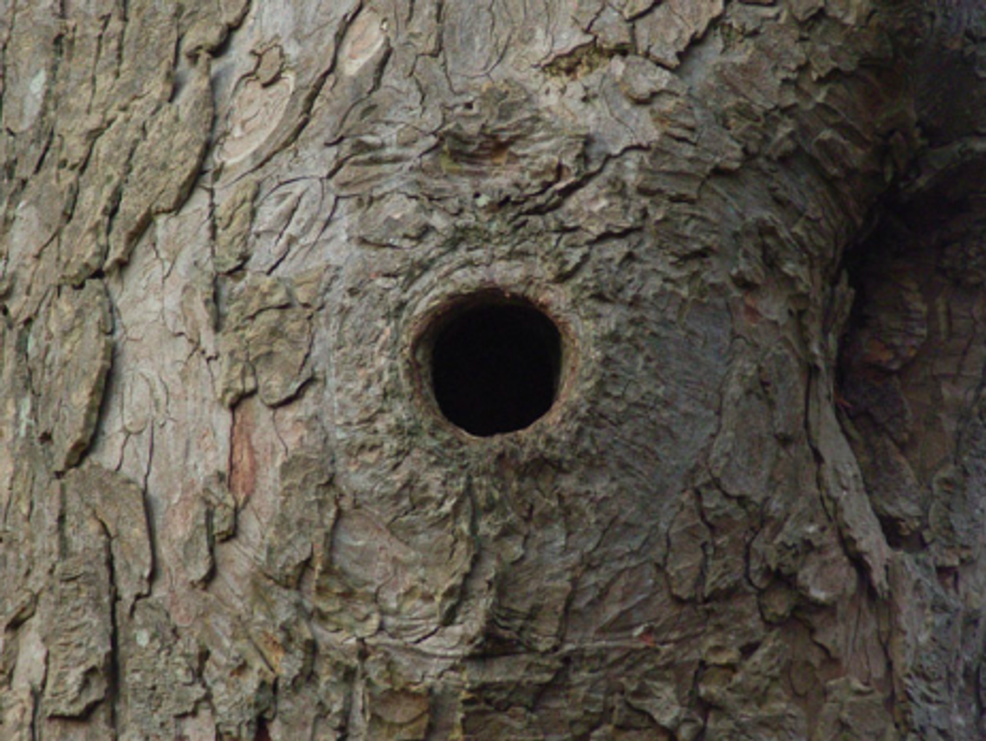 Look inside