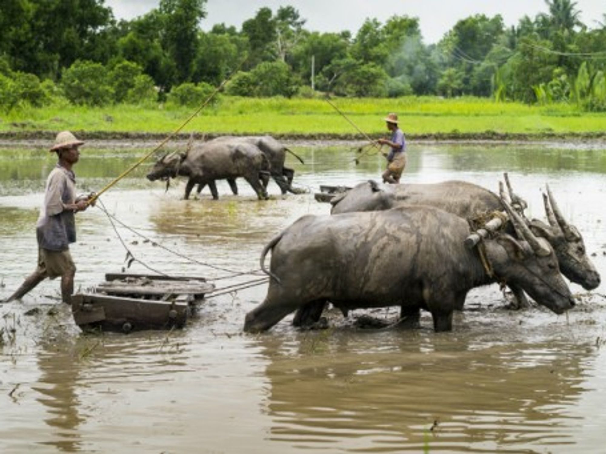 Look Who Pays The Price Of Burma's Investment Fever