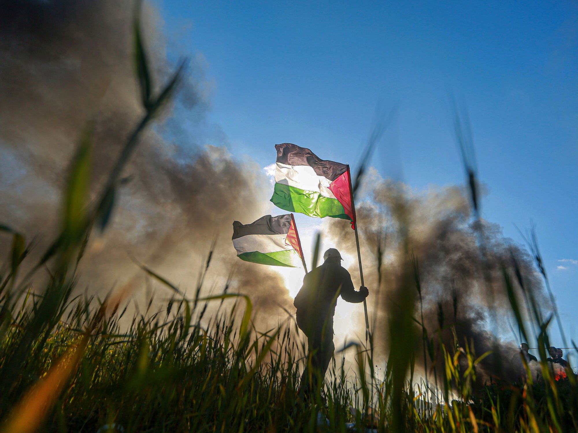 Low-angle shot of a man walking through a field carrying two Palestinian flags, with smoke in the background