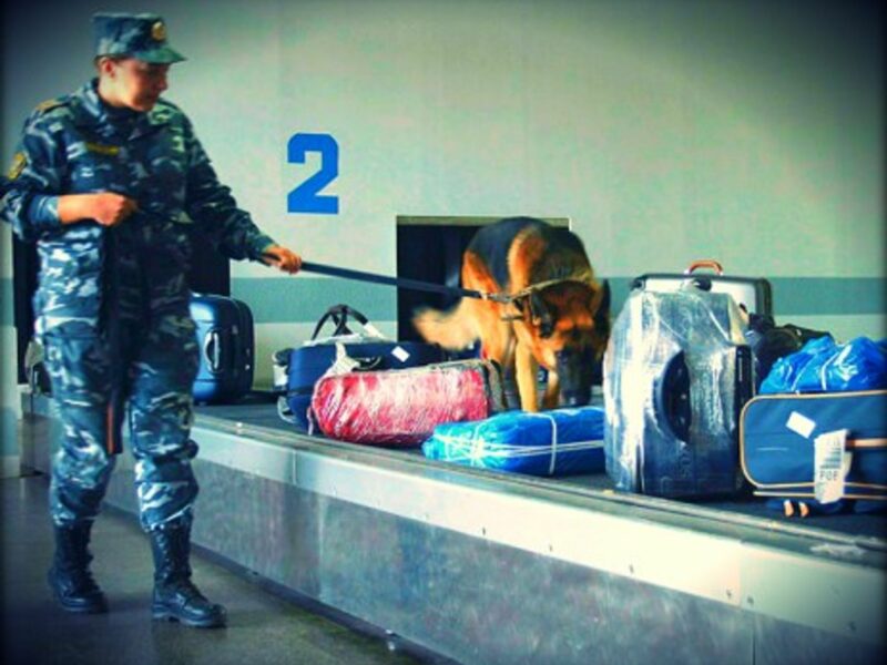 luggage has become a national security issue