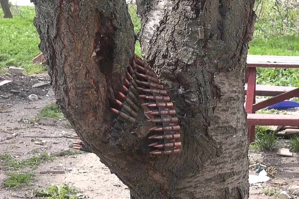 Machine gun belts hang from a tree in an area fortified by Ukrainian military