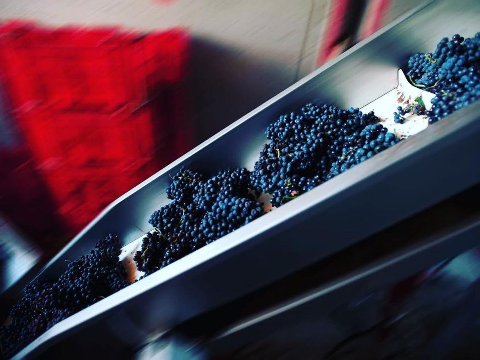 Barolo 4.0? How Artificial Intelligence Is Making The Best Wines Better