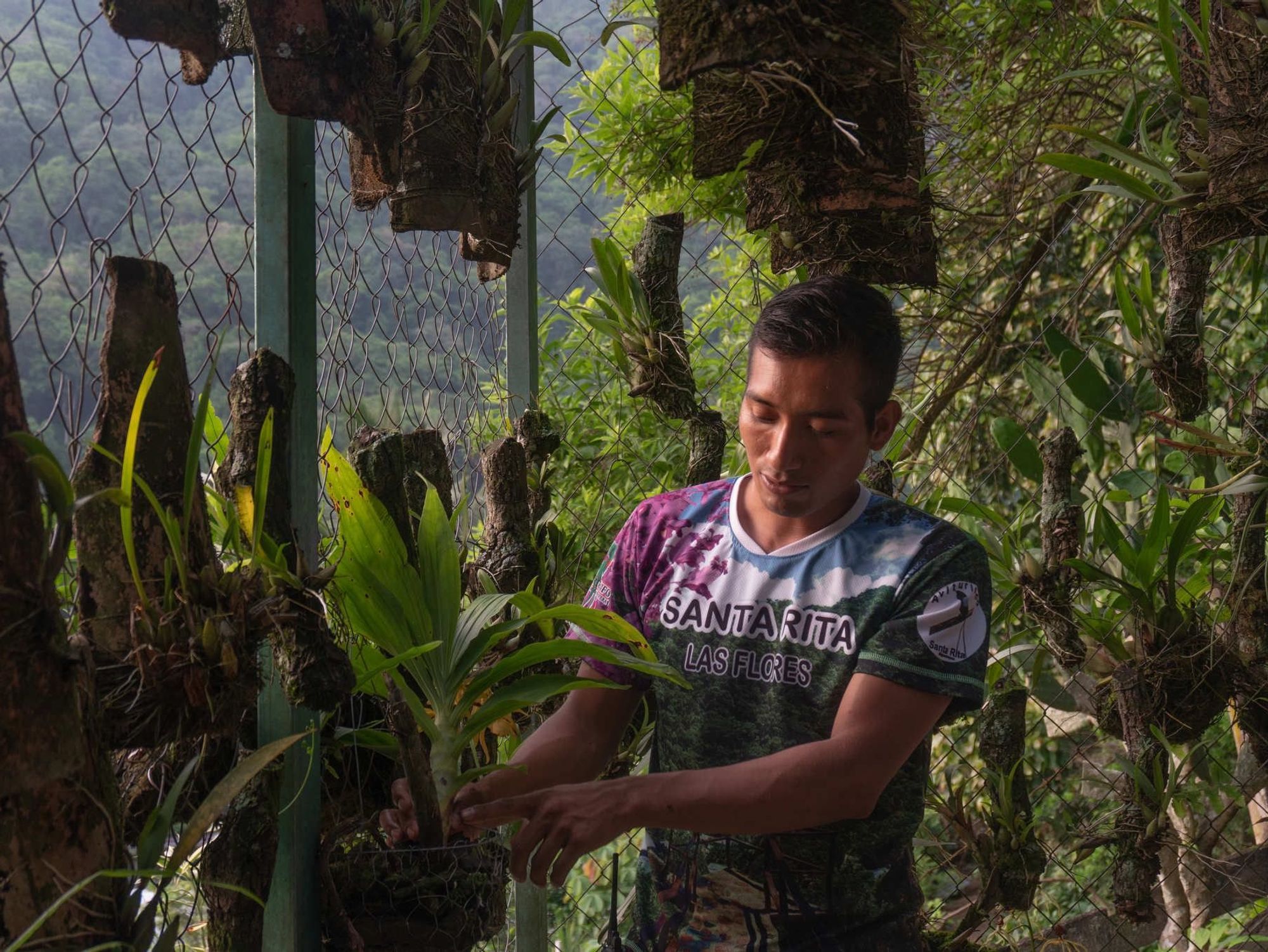 They Migrated From Chiapas When Opportunities Dried Up, Orchids Brought Them Home