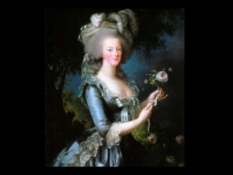 Marie Antoinette With A Rose