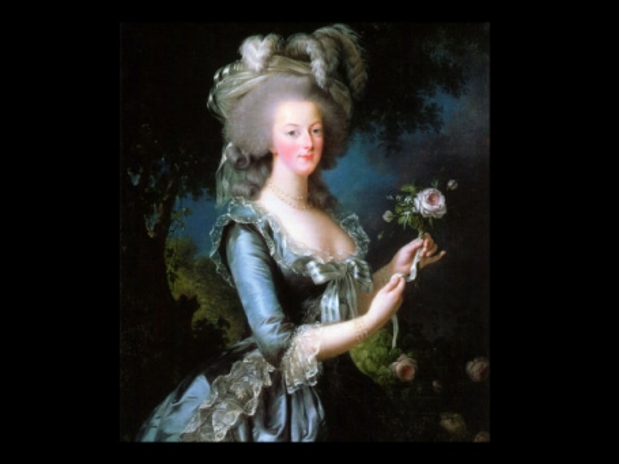 Marie Antoinette With A Rose
