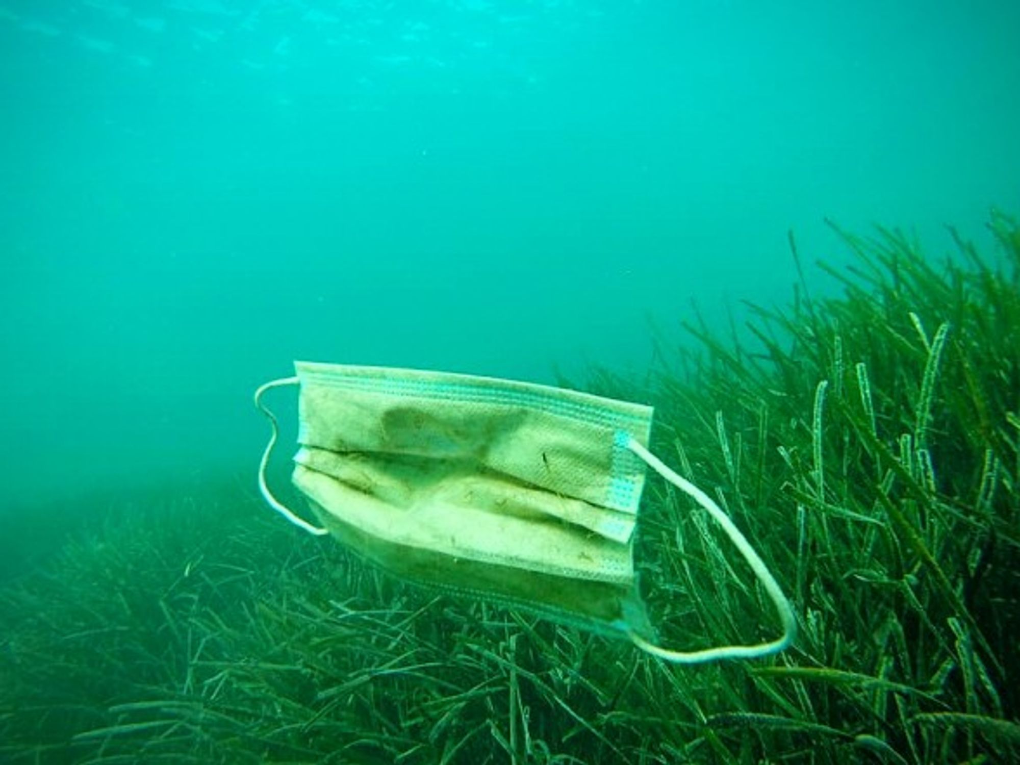 Mask floating in the Mediterranean