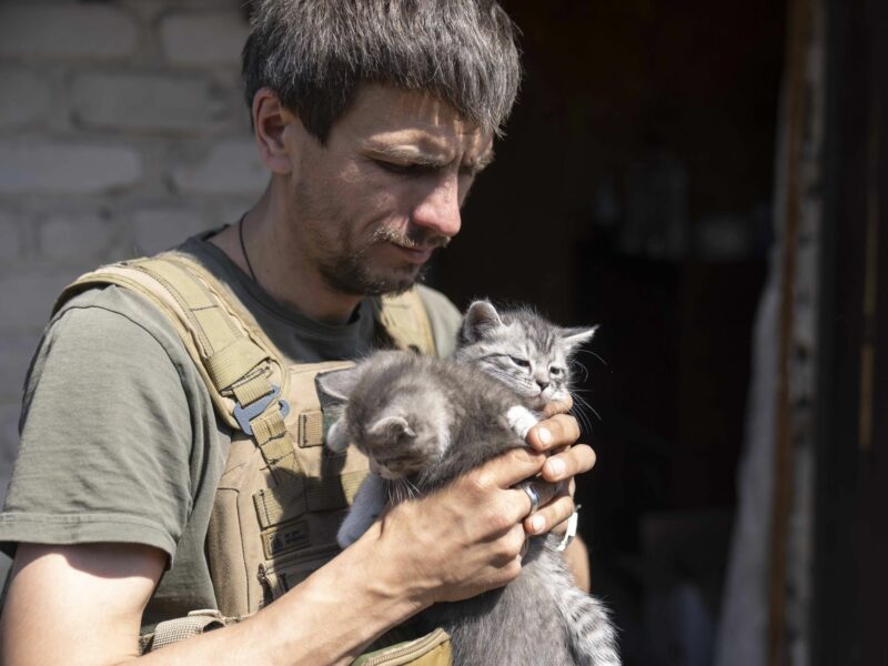 May 7, 2024, Unspecified Location, Donetsk Oblast, Ukraine: Evacuation of animals close to the frontlines as the Russians are slowly gaining Ukrainian territory. Operation by Animal Rescue Kharkiv in the Donbas region of Ukraine. (Credit Image: © Andreas Stroh/ZUMA Press Wire)